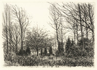 KT 2007 007
<br/>
Tuin te Echteld (Gld)
<br/>
<em>Kouwen, Philip (1922-2002)</em>